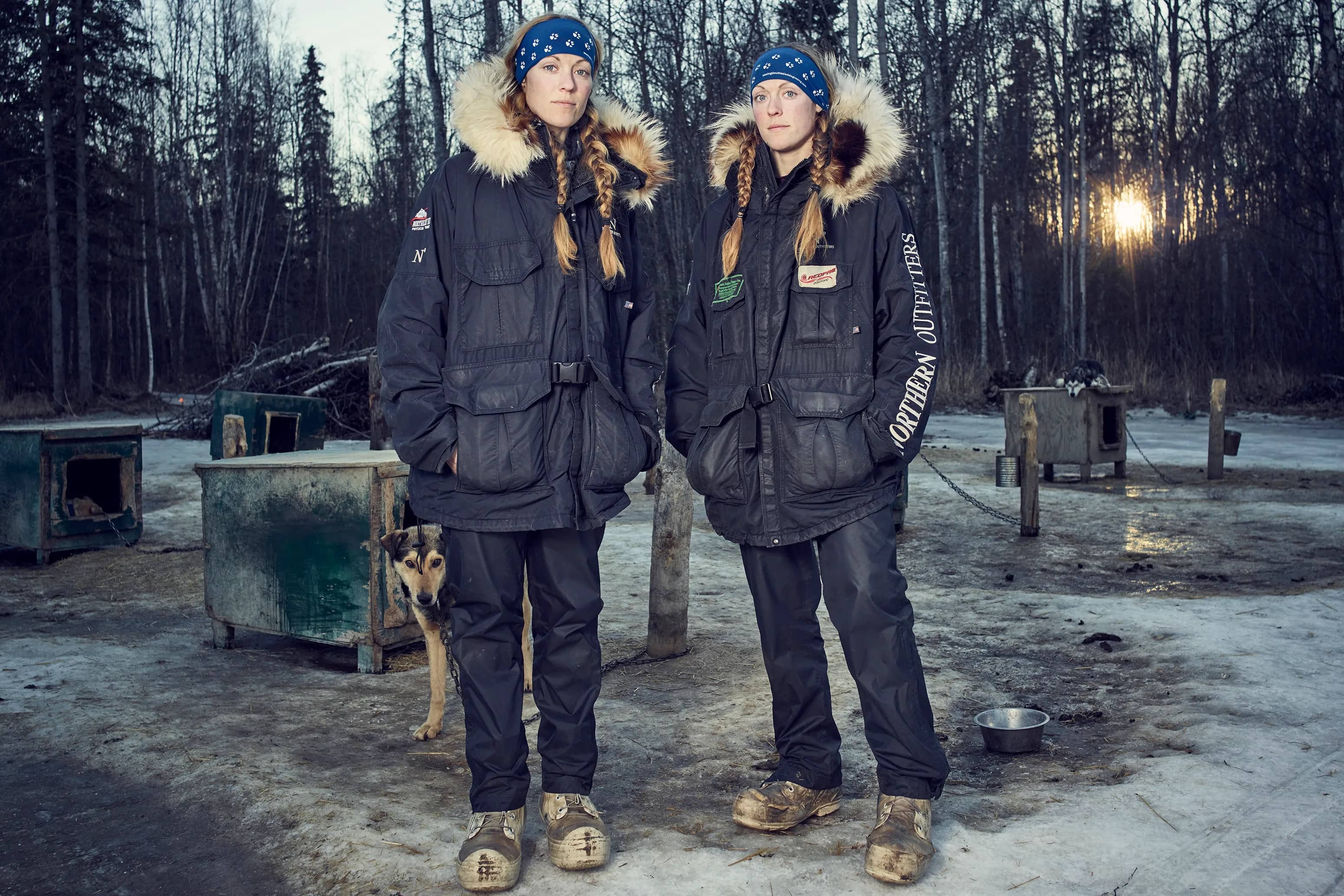 Racing Sled Dogs